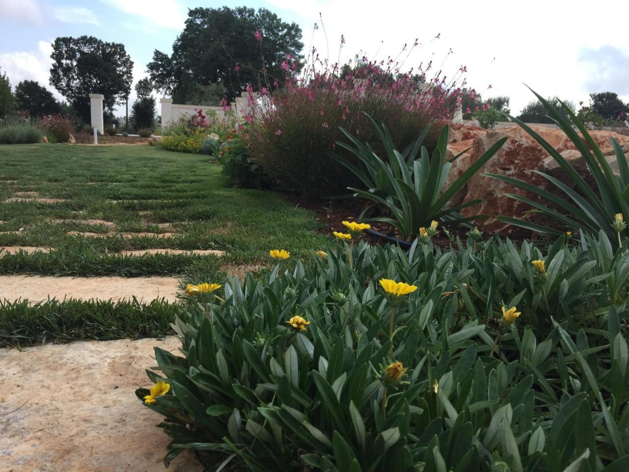 ロコロトンド Trulli Isago Bed & Breakfast エクステリア 写真